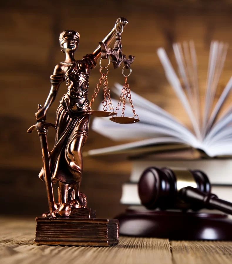 Dispute preparation and business protection